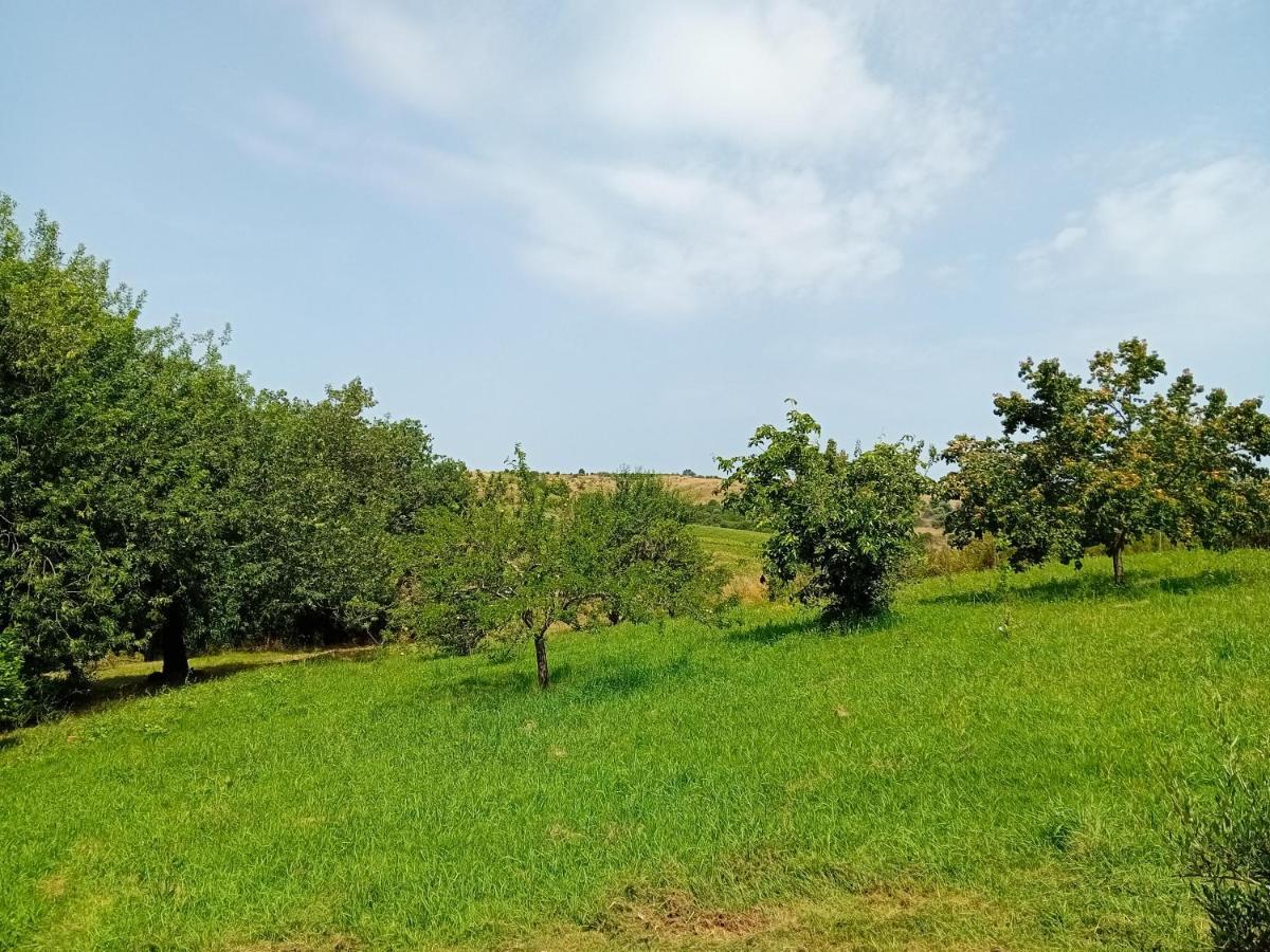 Borgo De' Muracci Ribolla Exterior foto